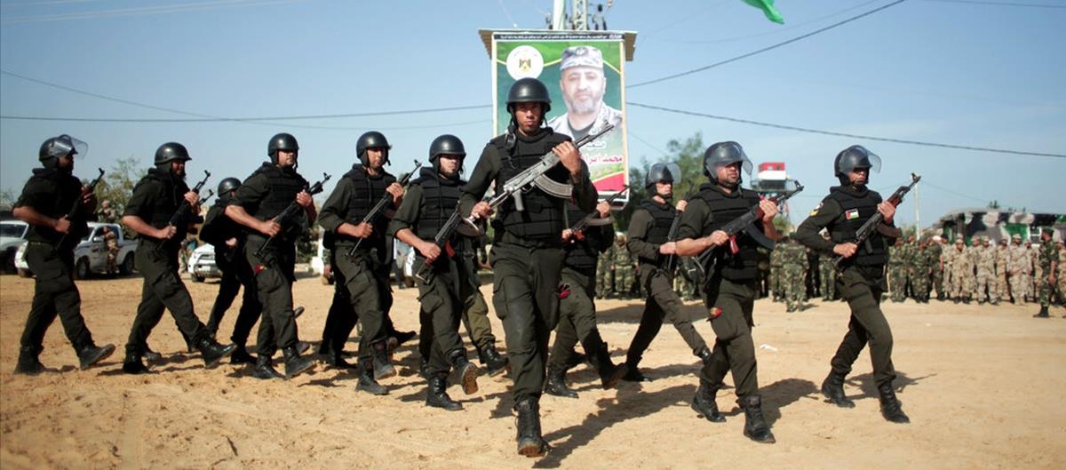 5319260558968392 cats