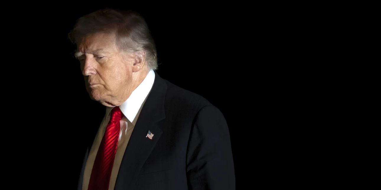 5320288876336245 image