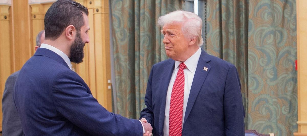 5320404985240262 cats