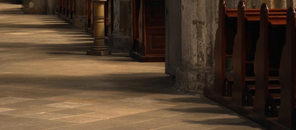 5320831232028459 cats