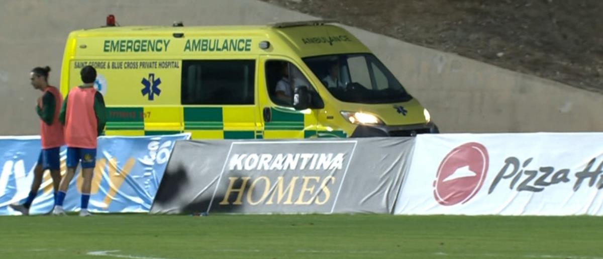 5321009109427717 cats