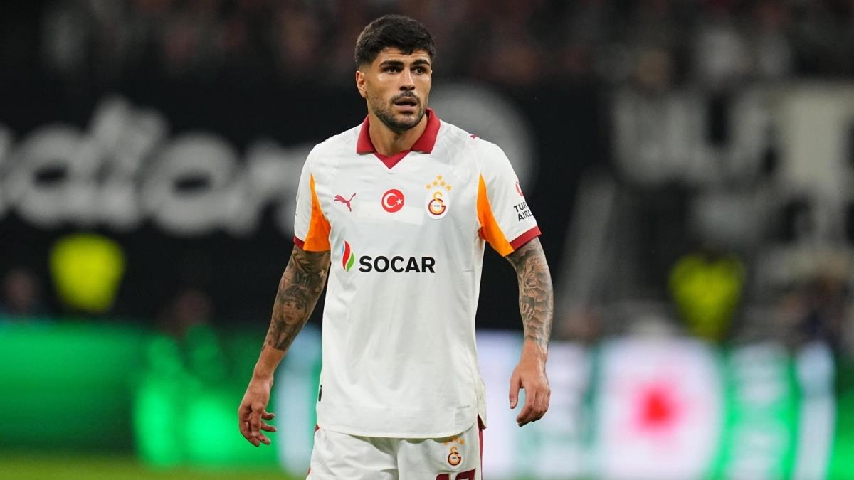 5321663649482607 image