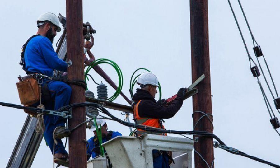 5321863831361703 image