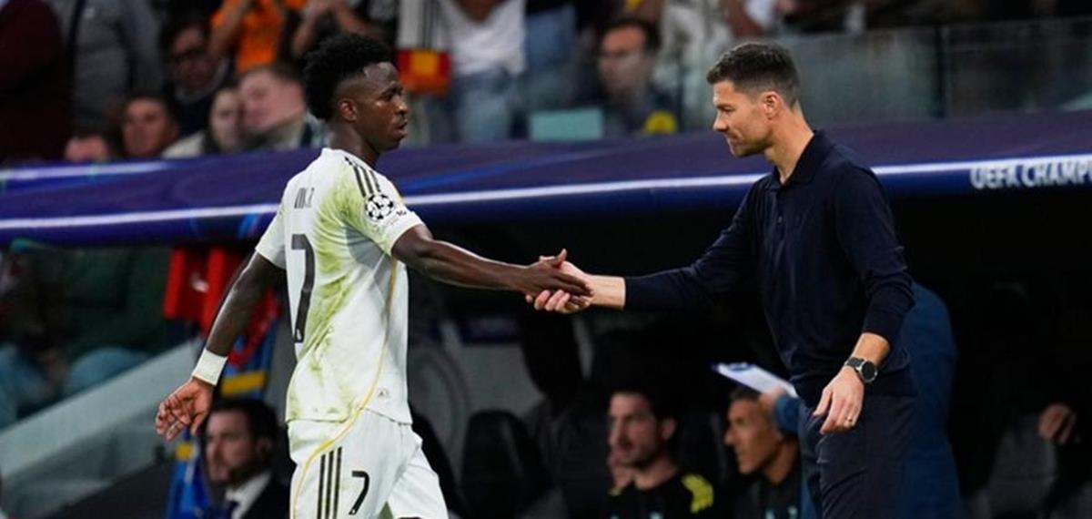 5322516930311128 cats