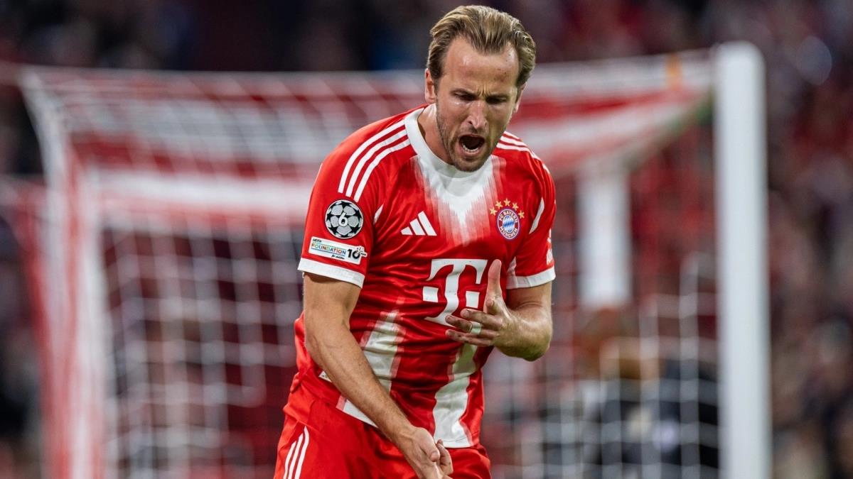 5322575395843706 image