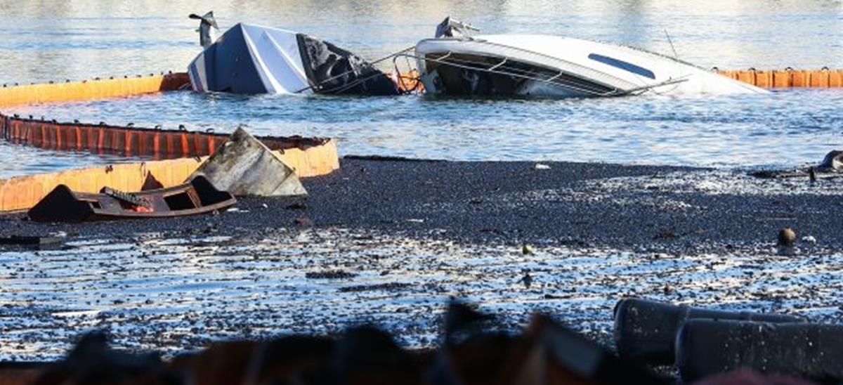 5322696824433620 cats