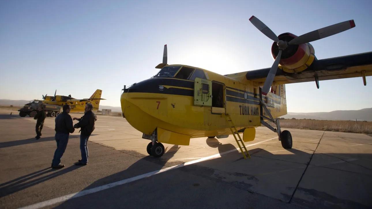 5322996918088176 image