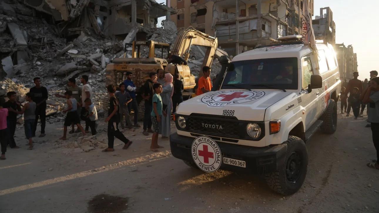 5323023403542996 image