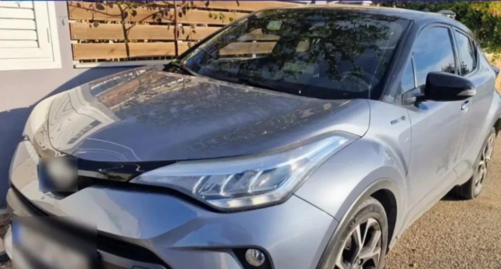 5323449694003505 cats