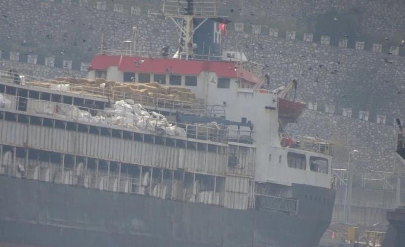 5323840896215285 image