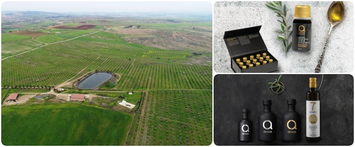 Οι ελαιώνες στη Νεκρή Ζώνη που παράγουν τα «Ατσάς Βιολογικά Προϊόντα» και έχουν τοποθετήσει την Κύπρο στο διεθνή χάρτη