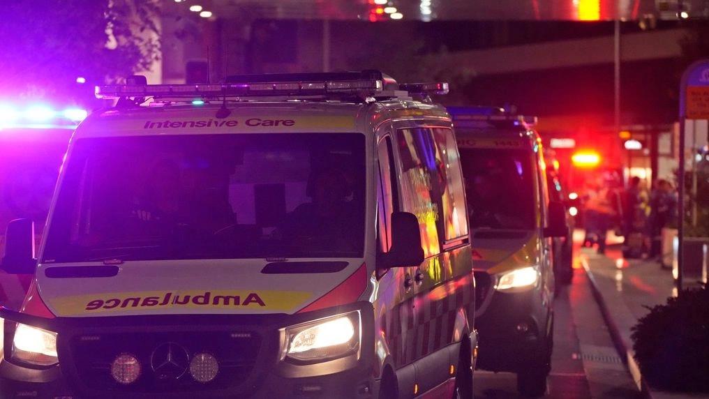 5325115638815995 image