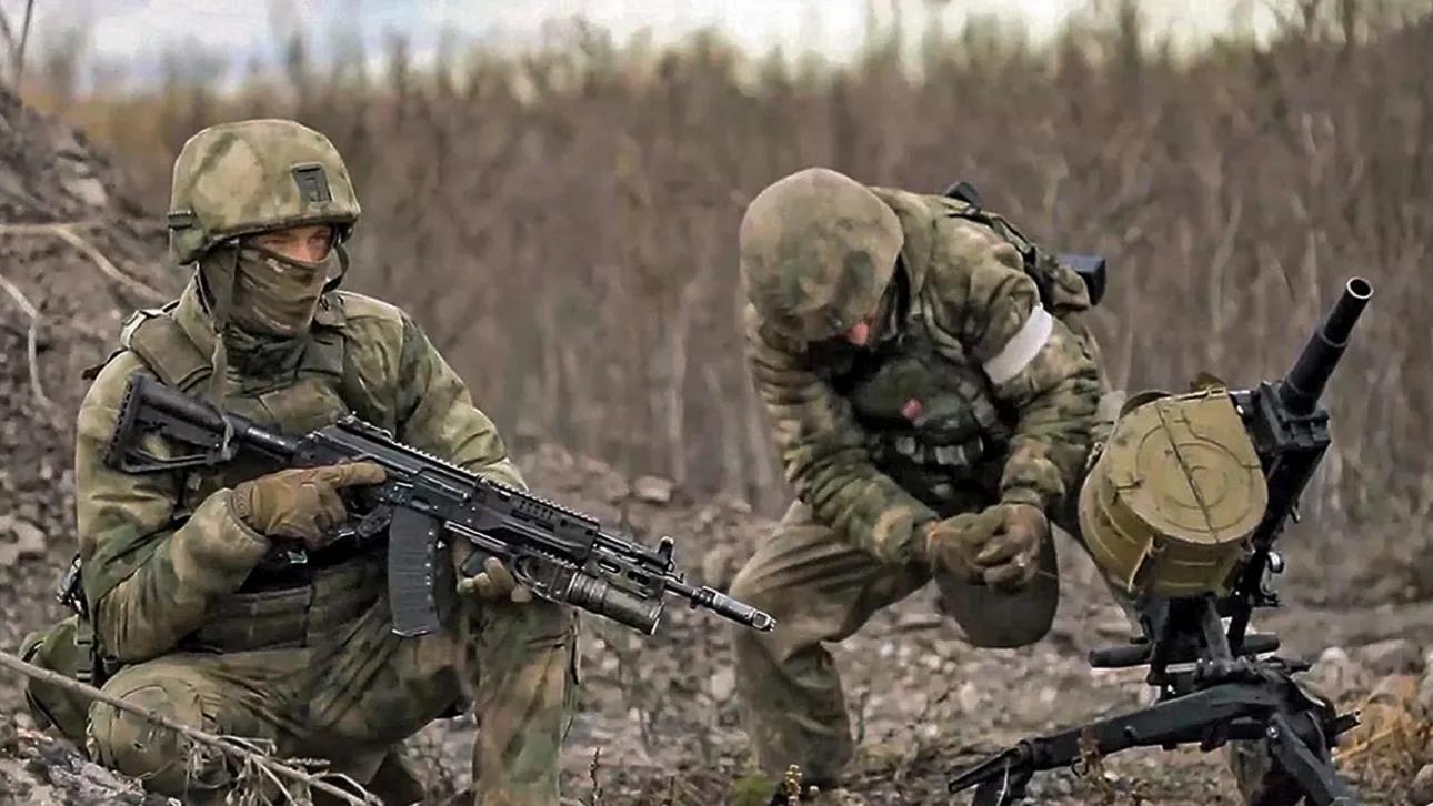 5325386208704329 image