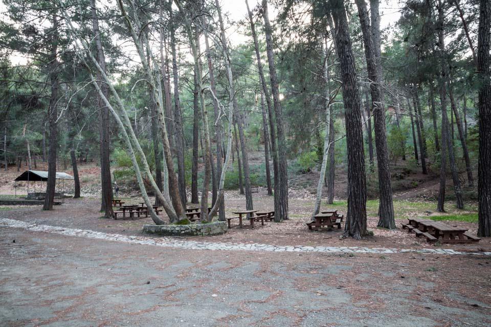 5326310053191944 image