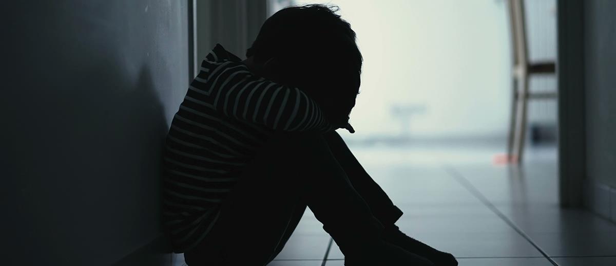 5326996629366370 cats