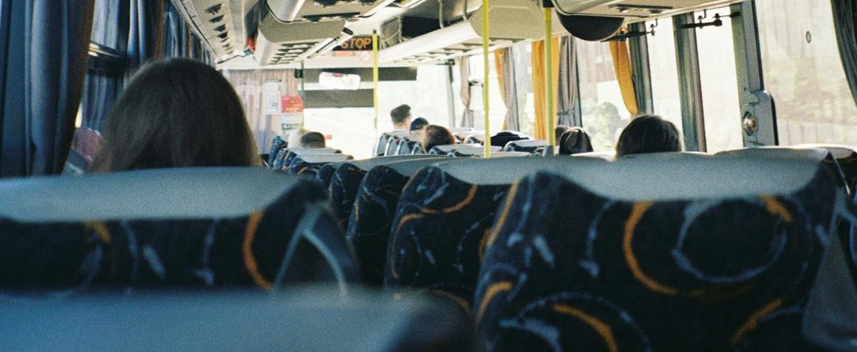 5327012990161657 cats