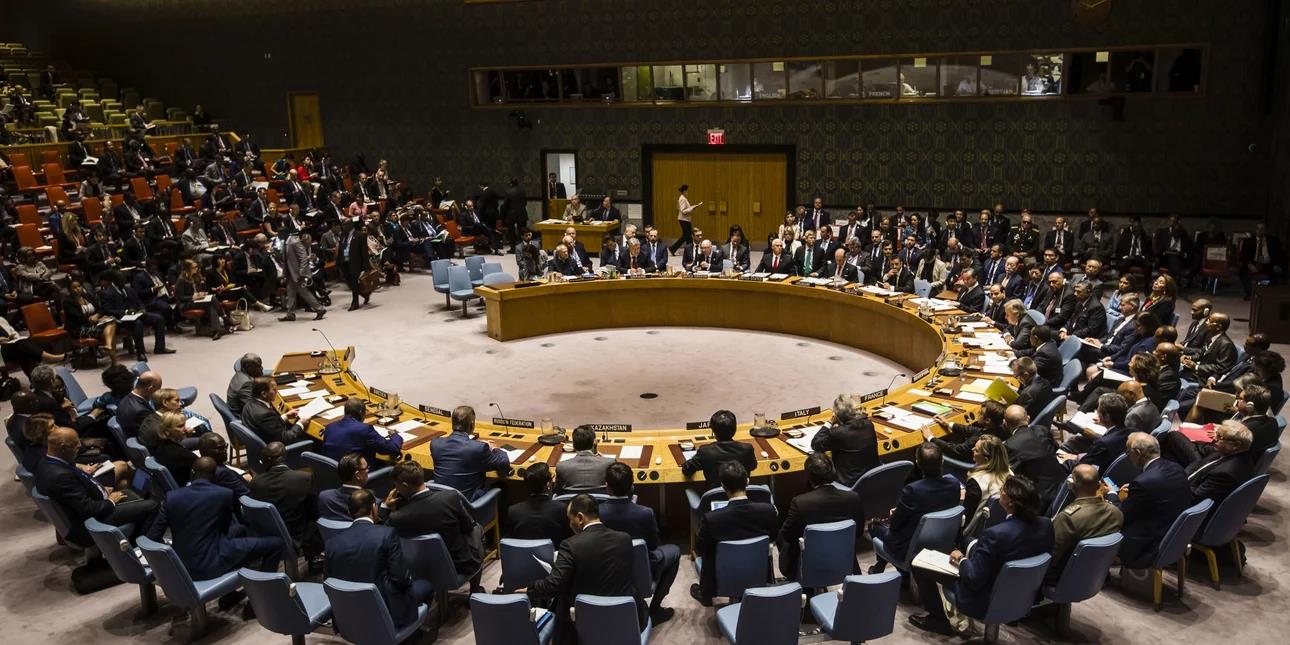 5327043067754131 image