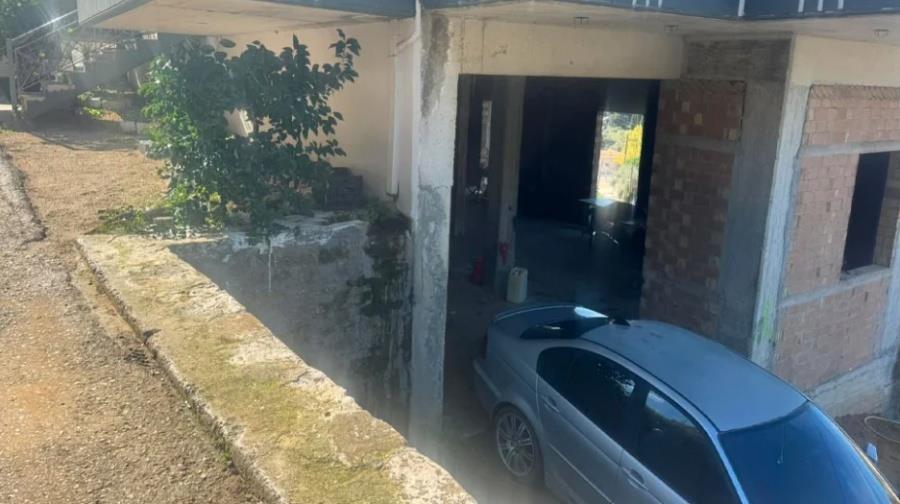 5327179653220478 axaia paidi maketa