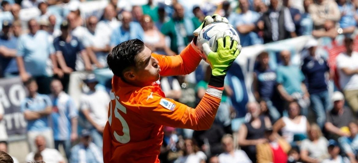 5327907550837749 cats