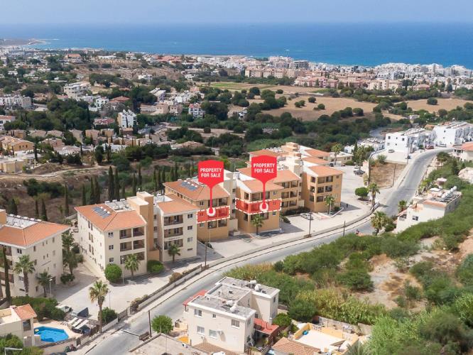 5327947340472838 cg11239