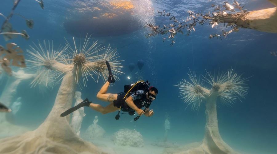 5327967707109591 SCUBA-DIVING