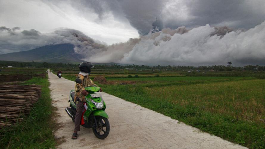 5328006882293621 image