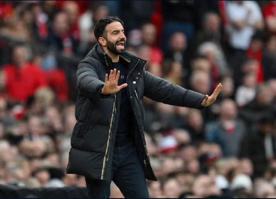 5328092840701308 image