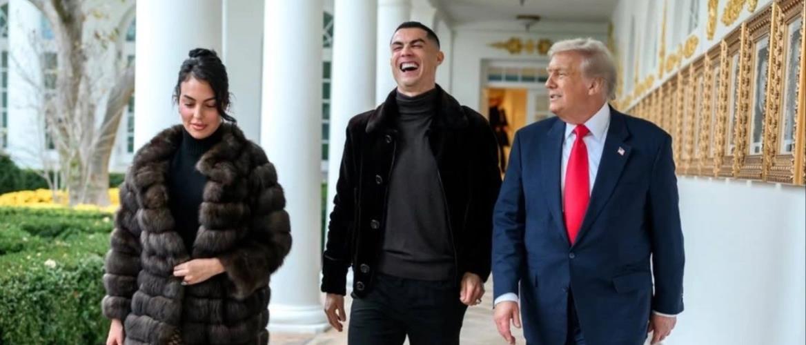 5328564170661856 cats