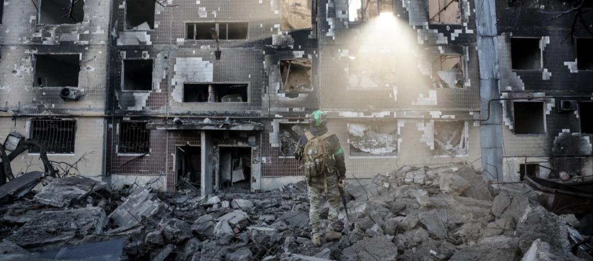 5328572216336160 cats