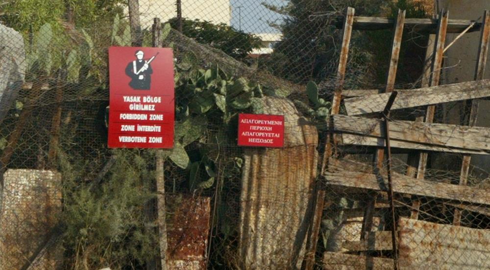 5328764832698279 cats