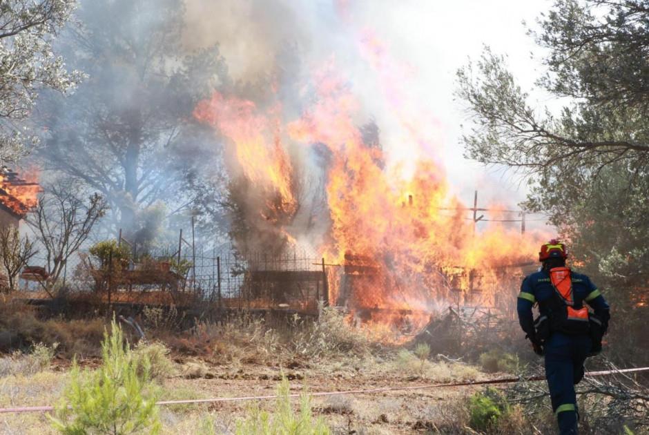 5328770640280905 image