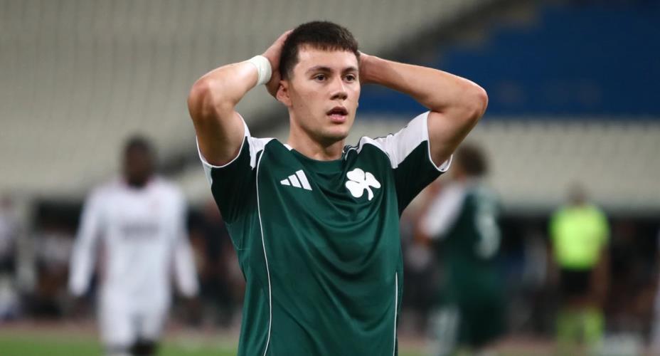 5328814754048817 image