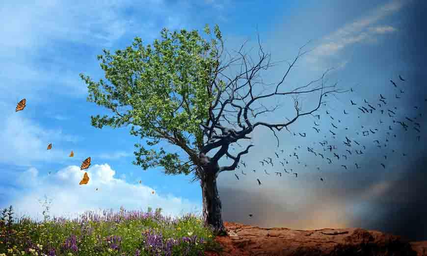 5328996539689581 image