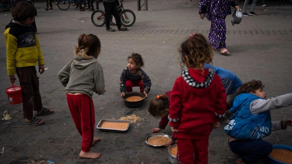 5329663772135391 image