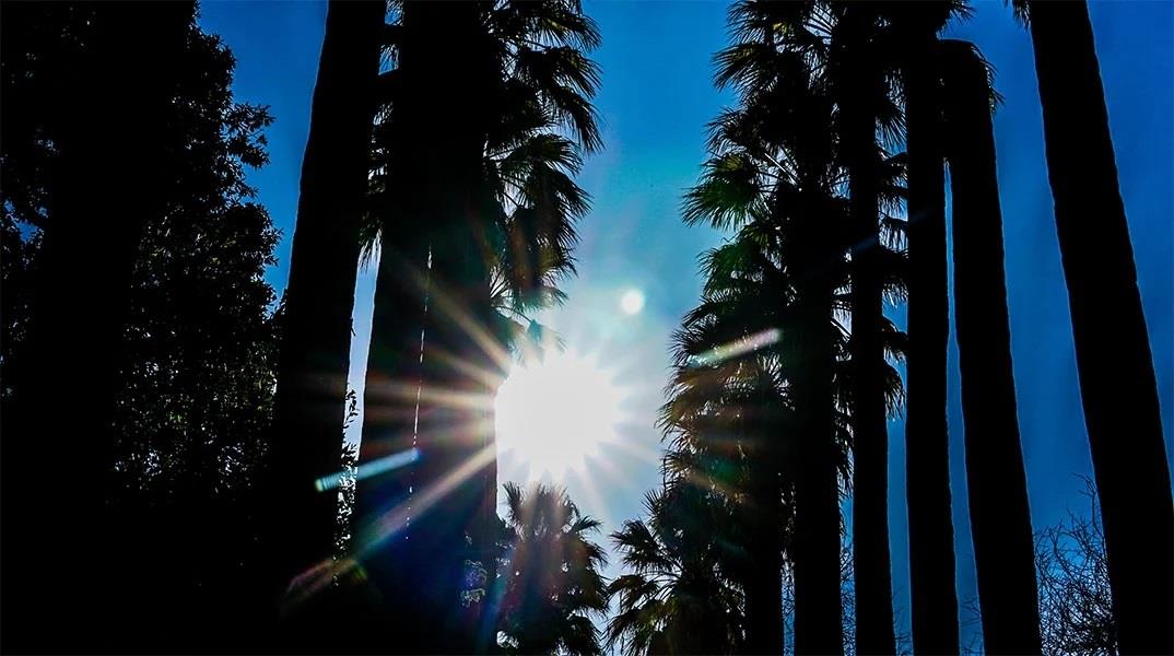 Παραμένει η σκόνη στην ατμόσφαιρα-Στους 29 βαθμούς η θερμοκρασία