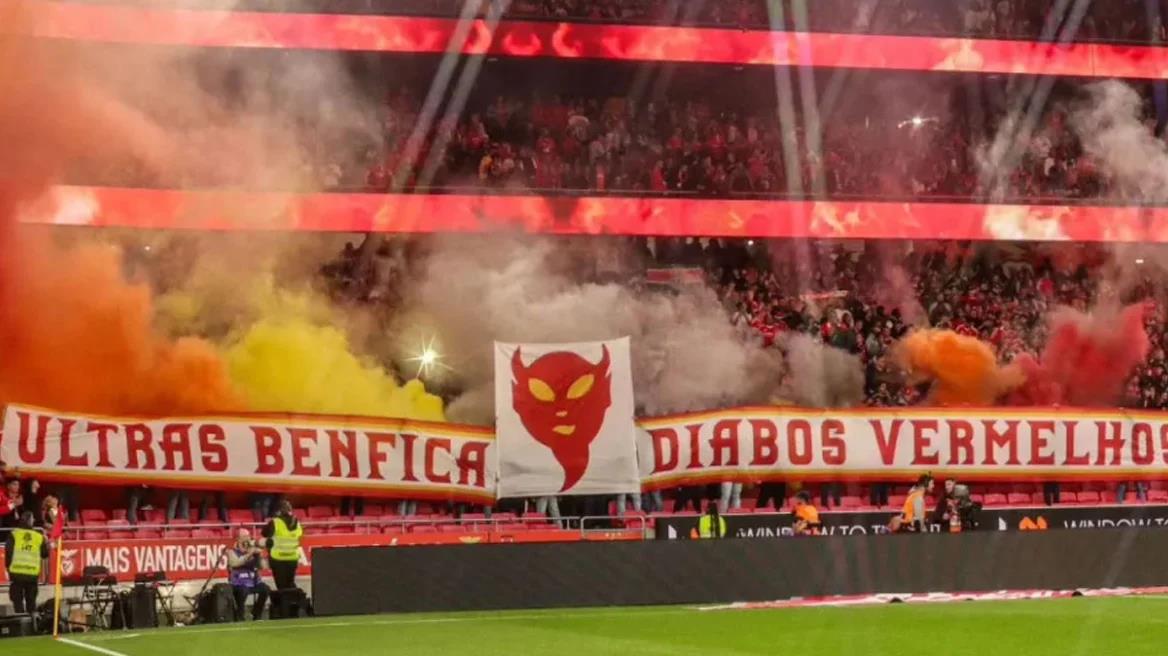 5330480484011814 image