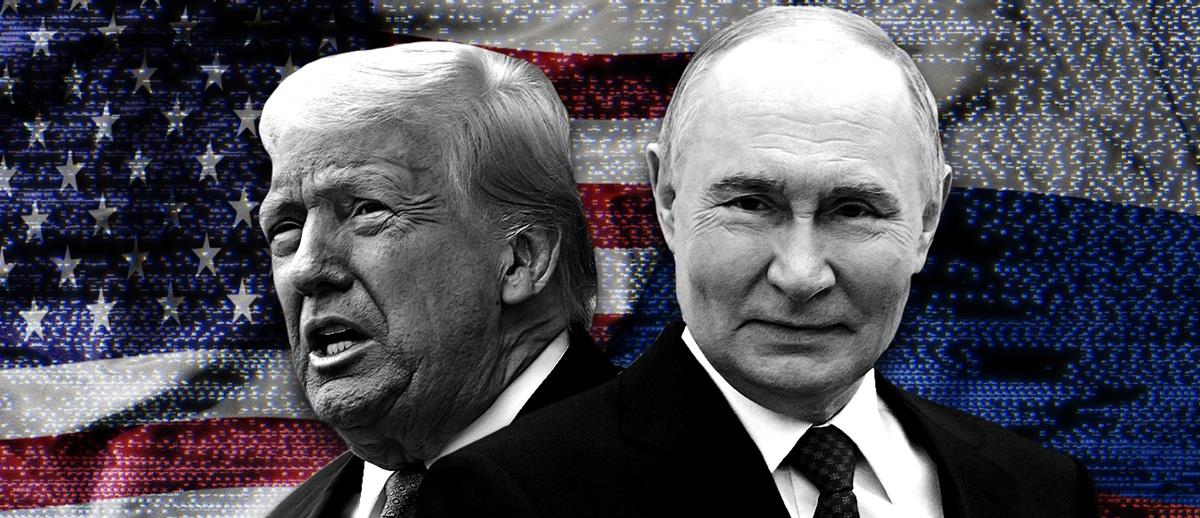 5330529535456627 cats