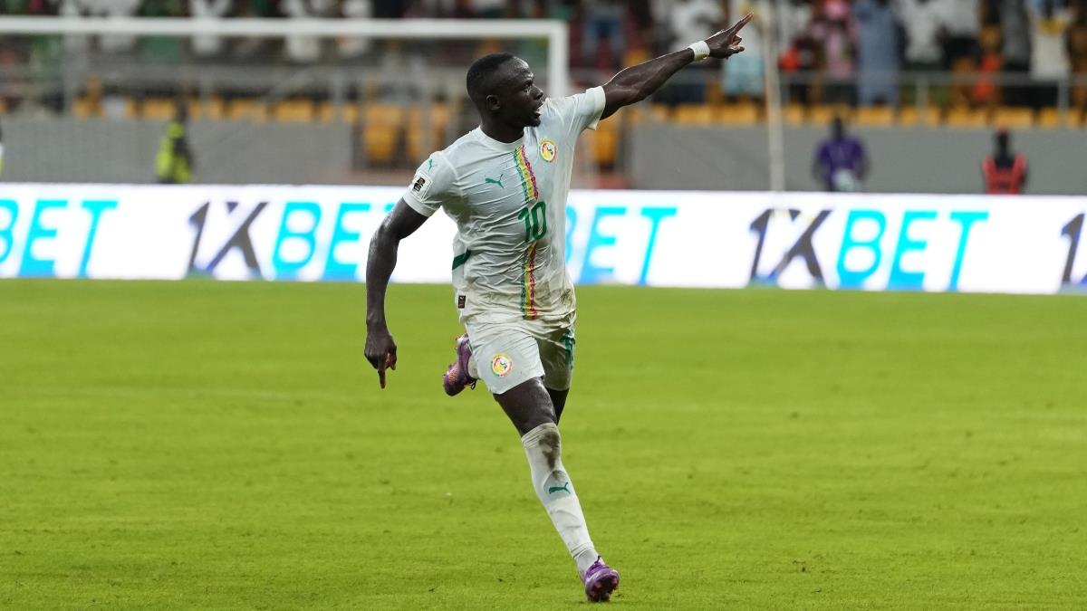 5330538737523029 image