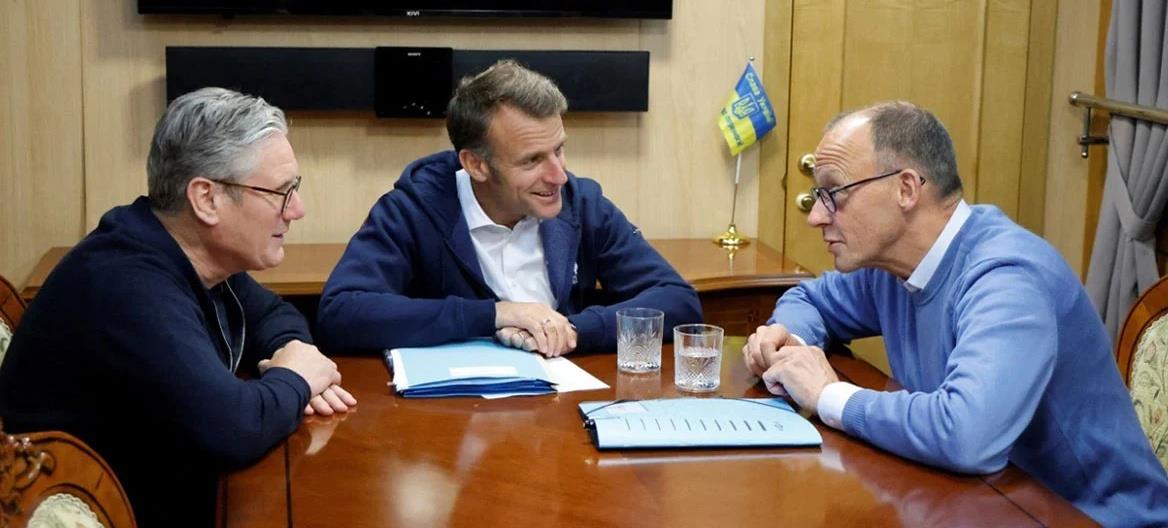 5330681535385763 cats