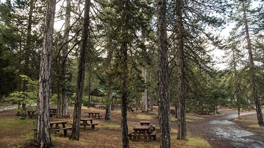 5331264421334355 ba585a3b91be90b8b8c4b3280d343fae.2e16d0ba.fill-1600x900