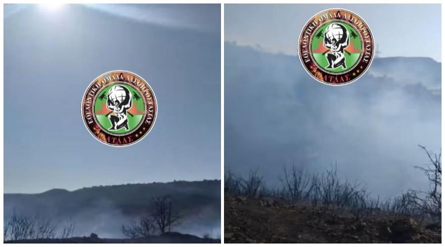 5331352467398638 collage