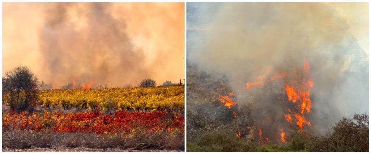 Ασταμάτητη η μάχη με τις φλόγες στην Πάφο, στήθηκε προωθημένο κέντρο ελέγχου-Ανέλαβε τη διαχείριση ο διευθυντής επιχειρήσεων
