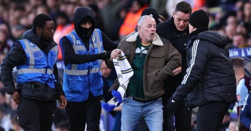 5332051209972048 cats