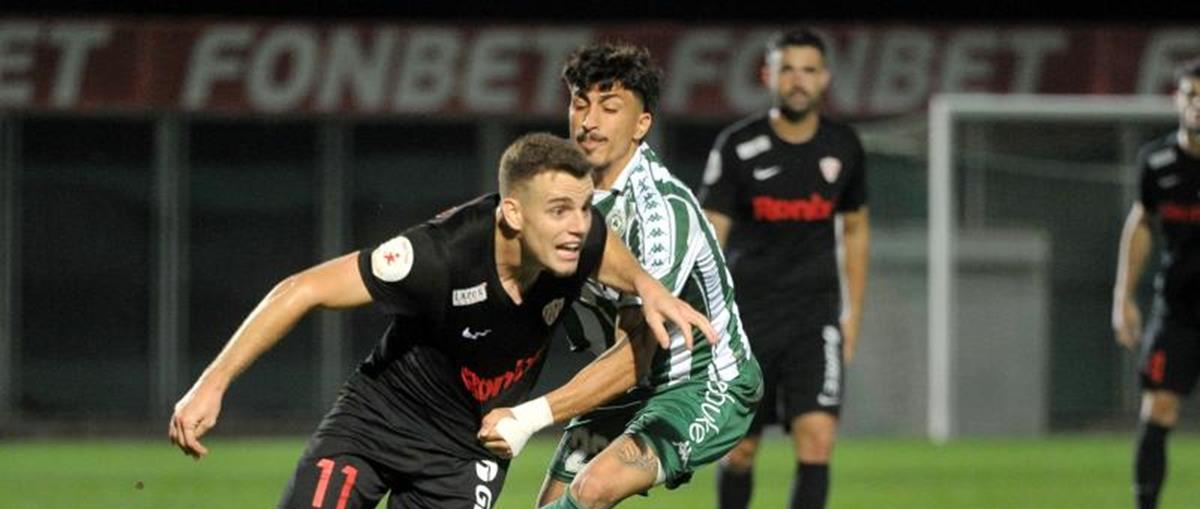 5332059510414205 cats