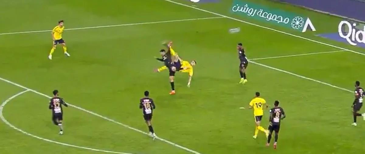 5332065745788053 cats