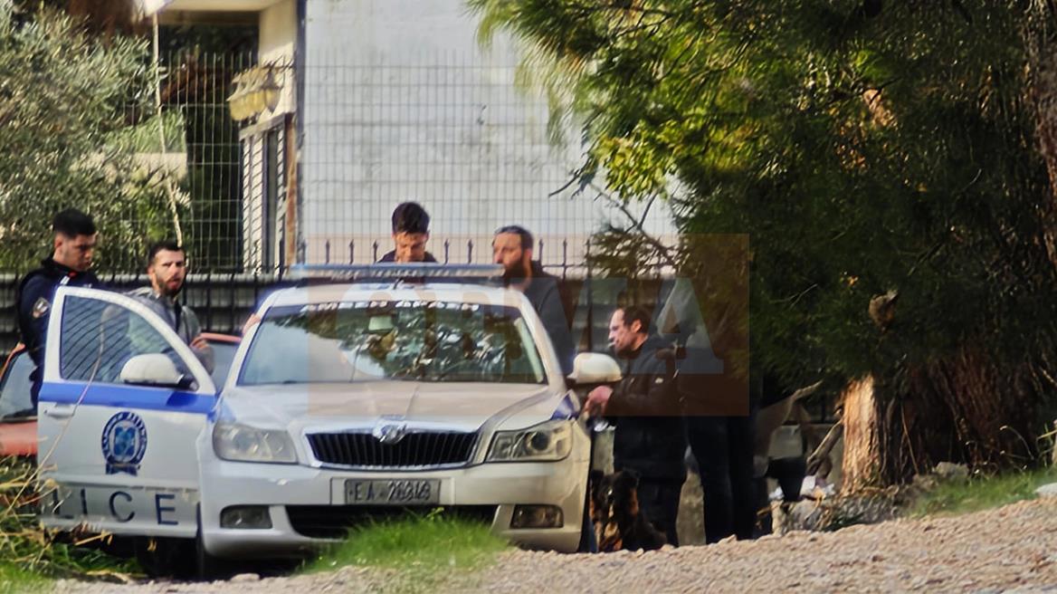 5332145771886436 image