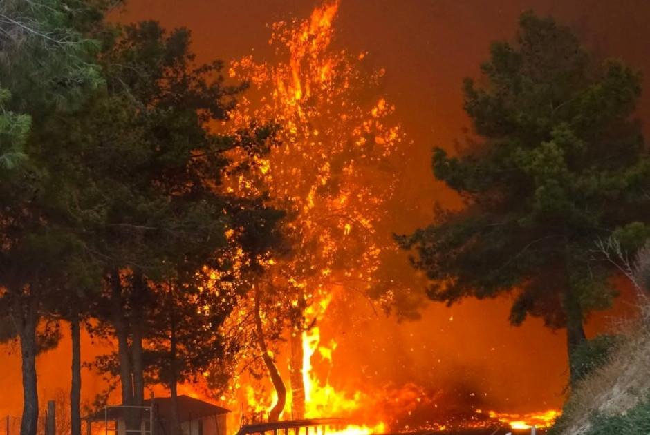 Συνδρομή από δύο ιορδανικά ελικόπτερα ζήτησε η Κύπρος για τη φωτιά στην Πάφο-Τέθηκε υπό πλήρη έλεγχο