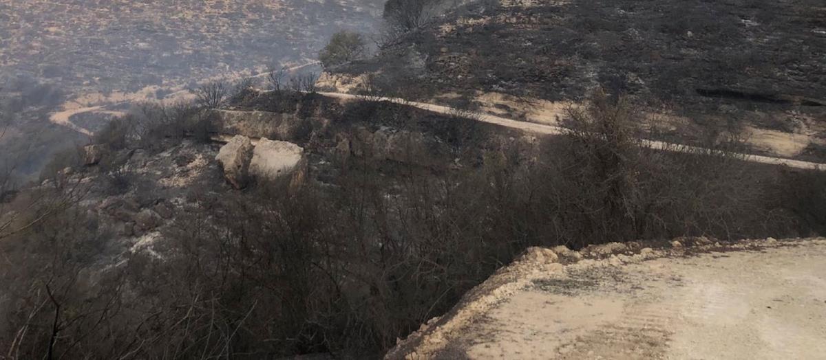 Αναζωπύρωση πυρκαγιάς στη χαράδρα μεταξύ Στρουμπιού και Κοίλης-Αναμένονται στην Κύπρο τα ιορδανικά ελικόπτερα