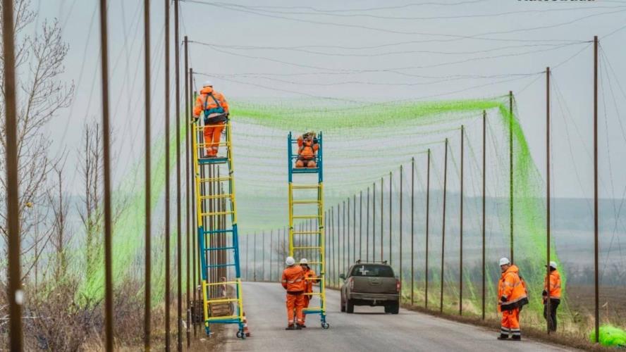 5332222081947299 image