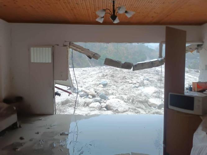 5332235801795029 image